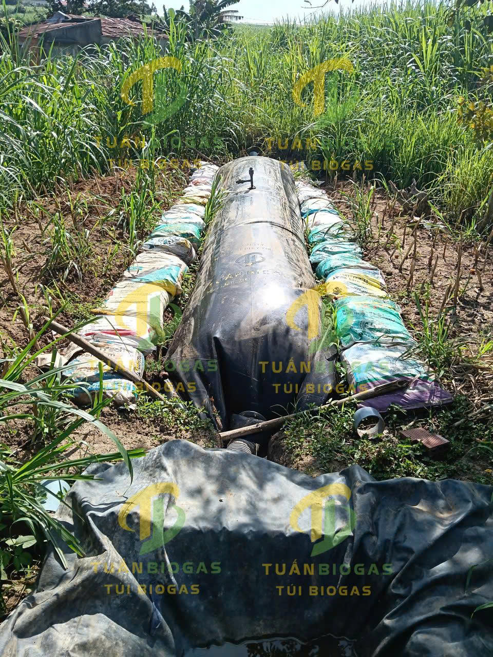 Túi Biogas 6 Khối: Kích Thước Đào Hố & Hướng Dẫn Lắp Đặt Chi Tiết Từ A-Z